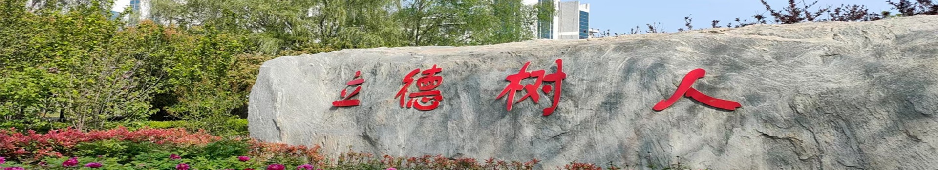 ylzz总站线路检测